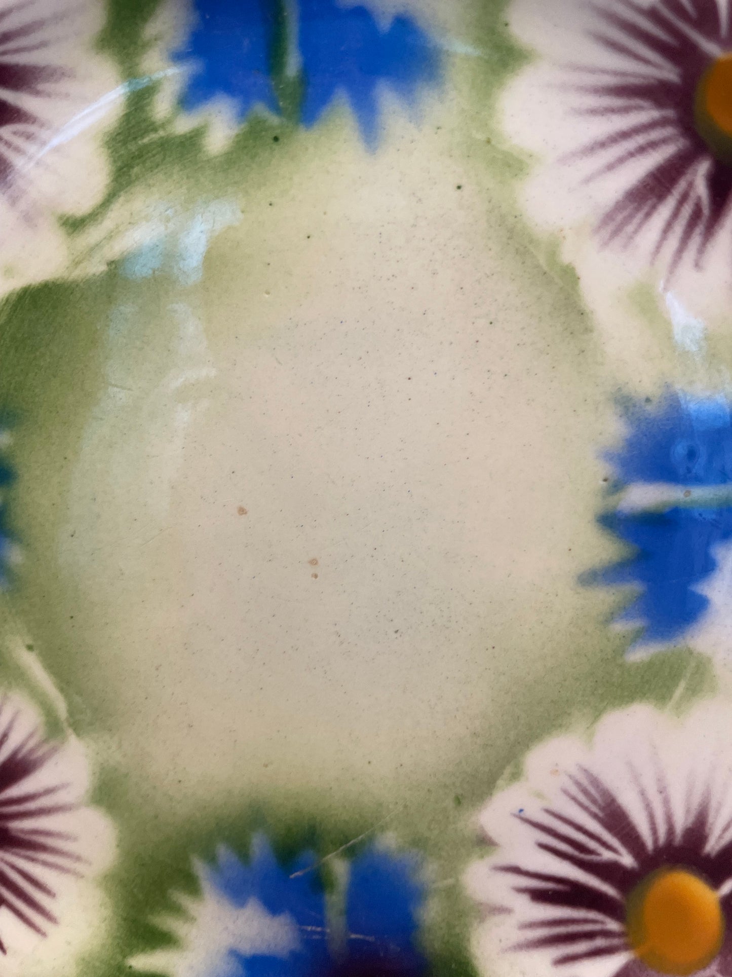 Charming Kuznetsov's fajans plate